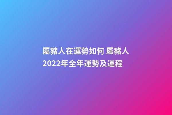 屬豬人在運勢如何 屬豬人2022年全年運勢及運程